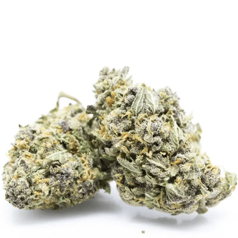 Purple 14% – White Edition CBD Blüten